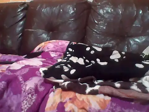 PREDADOR76 online show from 10-10-25, 04:39