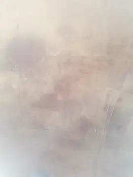 0023doja online show from 10-10-25, 11:26