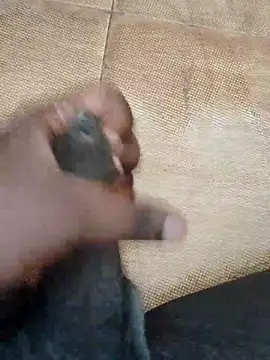 Saikishore00000 online show from 09-15-25, 08:25