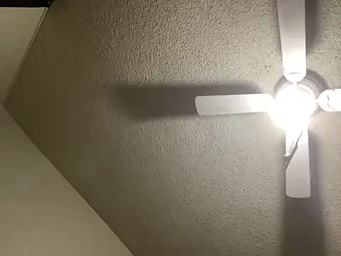 NiftyCaptain3 online show from 03-31-26, 03:45