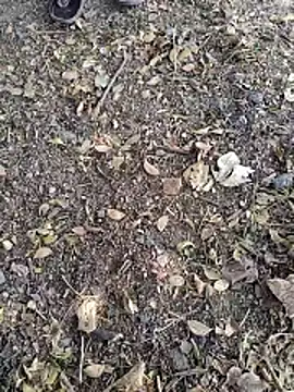 Telugu person12 online show from 01-14-26, 07:58