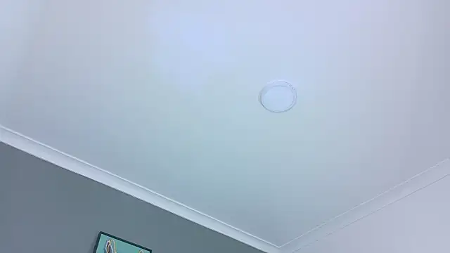 Snapshot of BelaMiller_ chatting on 10-28-25, 11:36 BelaMiller online show from 10-28-25, 11:36