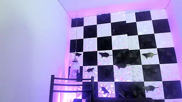 AndyFame1 online show from 10-17-25, 06:54