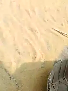 CatchingBouquet online show from 11-21-25, 04:44