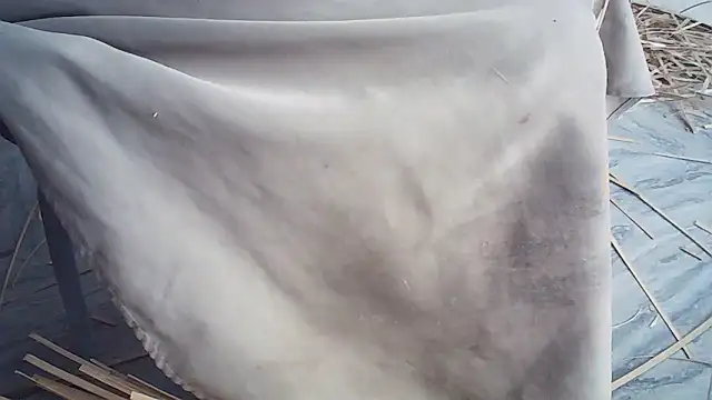 Elisa24 online show from 01-14-26, 01:22