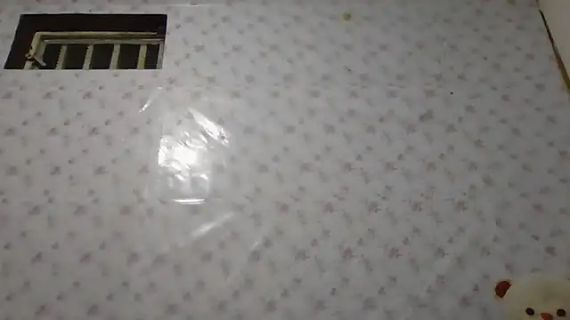 Roselingalvis13 online show from 01-14-26, 02:28