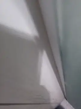 pauzaogrande1 online show from 02-07-26, 08:40