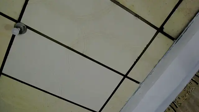 Snapshot of AlaskaFlowers_ chatting on 09-12-25, 05:51 AlaskaFlowers online show from 09-12-25, 05:51