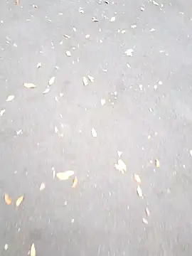 Arya Lexy online show from 10-26-25, 02:45