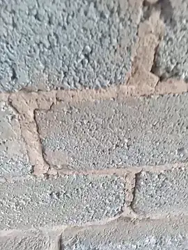 KingBonga online show from 10-17-25, 04:37