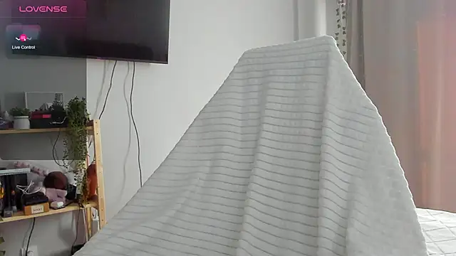 wwow meow online show from 02-13-26, 06:42