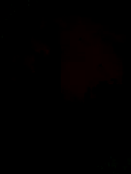 Ori-Lynk online show from 12-01-25, 06:29