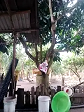 BigBoobs186 online show from 10-18-25, 03:09