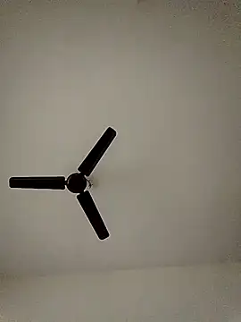 shreyas79 online show from 10-26-25, 06:19