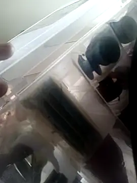 Isabella5 Brown  online show from 10-07-25, 02:36