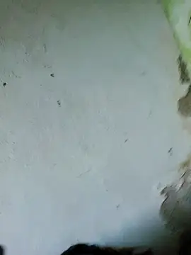 perversa068 online show from 02-04-26, 11:27