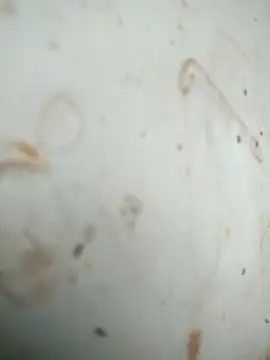 Snapshot of Mounstro3 chatting on 11-28-25, 04:42 Mounstro3 online show from 11-28-25, 04:42