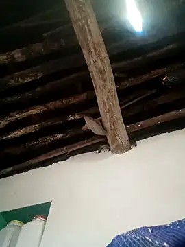 Hot siiii online show from 11-01-25, 01:18