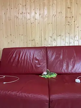 Snapshot of FoxStudioSex chatting on 10-22-25, 04:51 FoxStudioSex online show from 10-22-25, 04:51