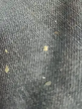 Snapshot of Narckse chatting on 09-15-25, 07:30 Narckse online show from 09-15-25, 07:30