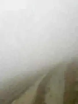 Phayphay77 online show from 01-15-26, 08:08