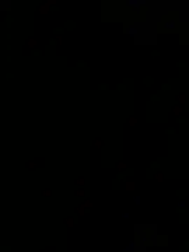 ALANNFERRER online show from 04-11-26, 10:19