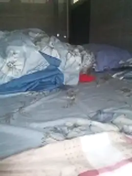 Tan32 11 online show from 02-05-26, 12:26