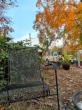 Snapshot of sizableunicorn7 chatting on 11-06-25, 10:32 sizableunicorn7 online show from 11-06-25, 10:32