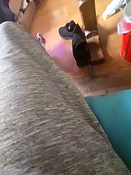 Fonse1860 online show from 10-19-25, 08:59