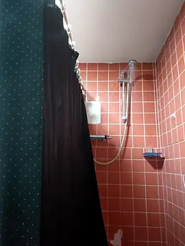 Snapshot of Lincs_Phoenix chatting on 11-23-25, 09:03 Lincs Phoenix online show from 11-23-25, 09:03