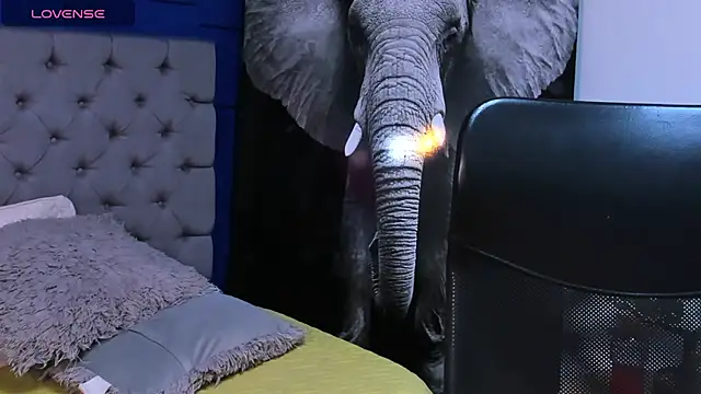 rocoo santos online show from 10-10-25, 12:09