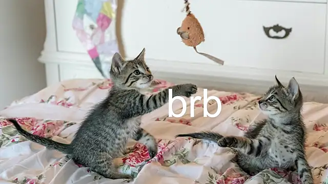 Pink girl0n online show from 11-17-25, 07:08