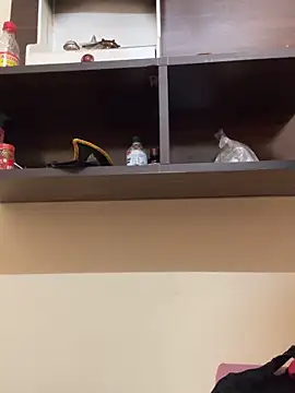 Snapshot of modelnishu chatting on 04-09-26, 06:19 modelnishu online show from 04-09-26, 06:19