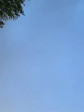 Snapshot of raen001 chatting on 11-24-25, 08:47 raen001 online show from 11-24-25, 08:47