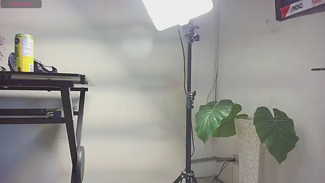 sakuramoss online show from 10-24-25, 06:43