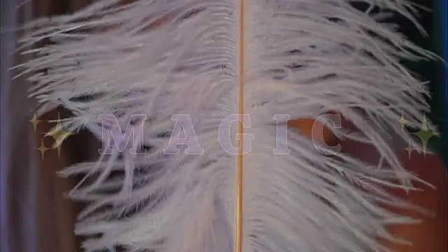 Alvuwkaa online show from 01-10-26, 09:44