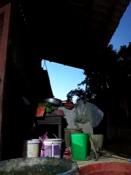 Snapshot of Bibilenu chatting on 10-19-25, 11:00 Bibilenu online show from 10-19-25, 11:00