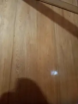 Snapshot of Bibilenu chatting on 10-31-25, 01:12 Bibilenu online show from 10-31-25, 01:12