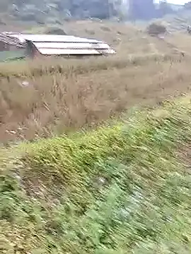 Snapshot of Phuongphuongg chatting on 10-20-25, 02:23 Phuongphuongg online show from 10-20-25, 02:23