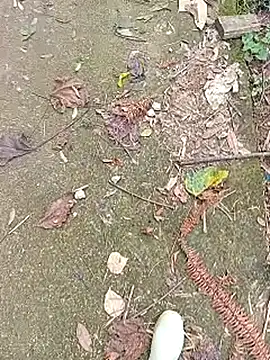 Snapshot of Phuongphuongg chatting on 10-27-25, 04:27 Phuongphuongg online show from 10-27-25, 04:27