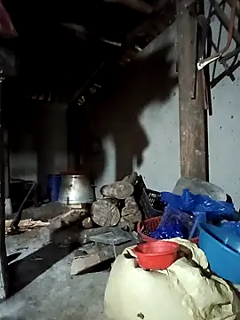 Exembin online show from 09-17-25, 03:08