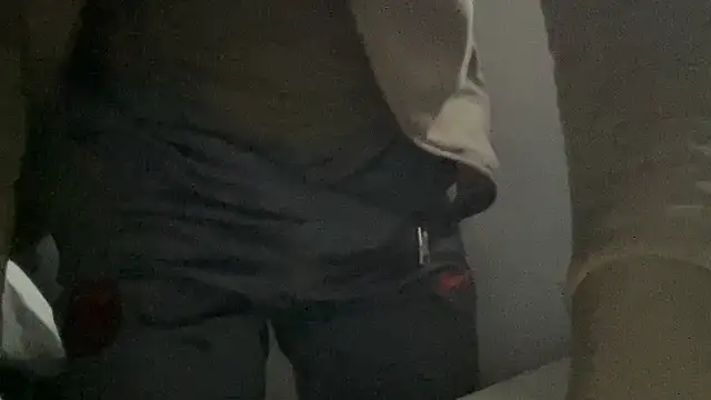 Snapshot of peterpapiNL chatting on 10-27-25, 04:00 peterpapiNL online show from 10-27-25, 04:00