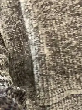 Snapshot of sunset24 chatting on 10-13-25, 08:58 sunset24 online show from 10-13-25, 08:58