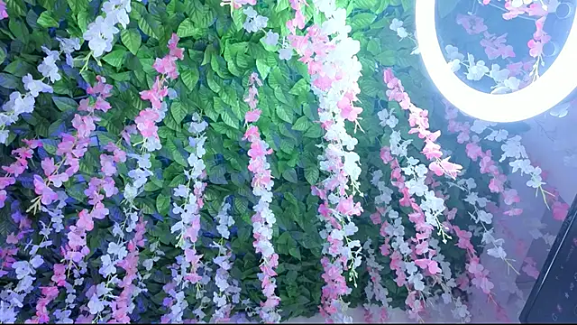 amberthangels online show from 11-22-25, 12:37