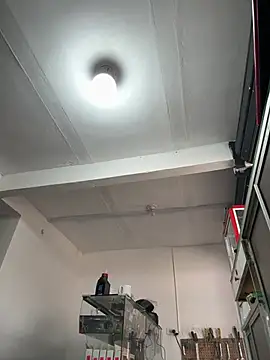 Terra-22cm online show from 03-01-26, 02:30