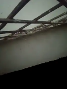 Daisygirl9 online show from 10-22-25, 09:36