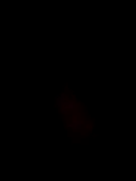 Quarentaoon online show from 09-10-25, 04:56
