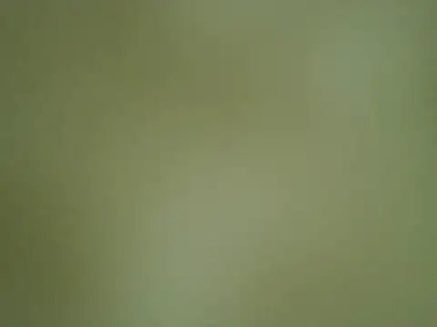Quarentaoon online show from 10-04-25, 03:32