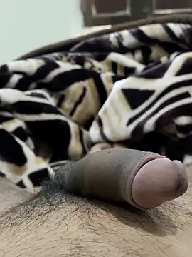 Bull54321 online show from 02-14-26, 06:54