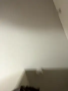 Tu GataLinda online show from 09-25-25, 10:02